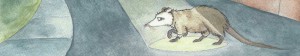 Nocturne Possum Banner