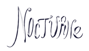 nocture illustrated banner