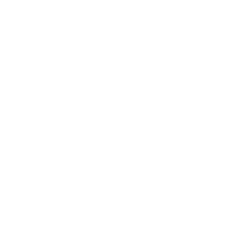 The Guardian