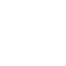 The New Yorker