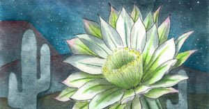 San Pedro - Nocturne Podcast