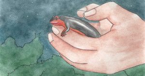 Newt Brigade - Nocturne Podcast